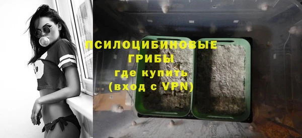 СК Новозыбков