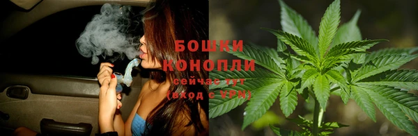 эйфоретик Новодвинск