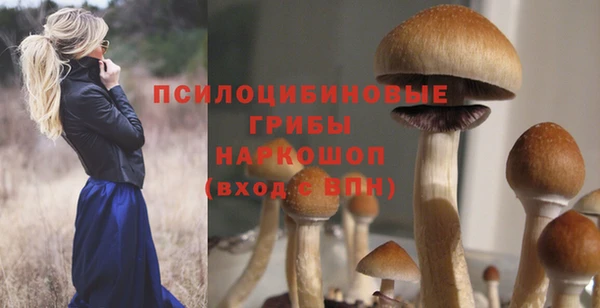 эйфоретик Новодвинск
