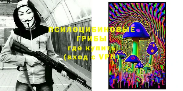 СК Новозыбков