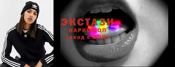 СК Новозыбков