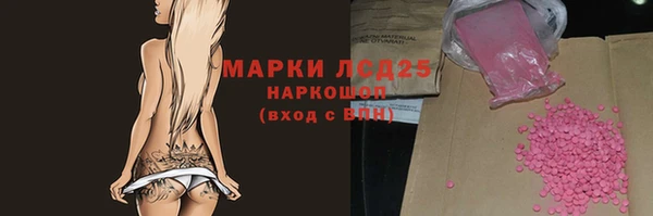 СК Новозыбков