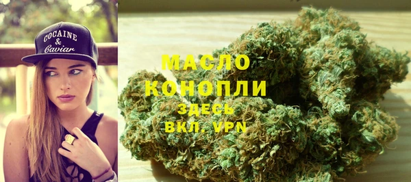 СК Новозыбков