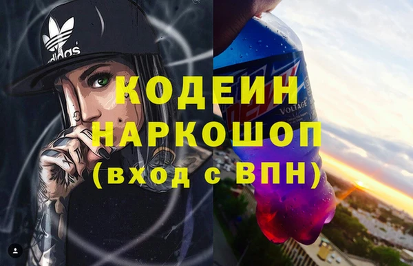 СК Новозыбков