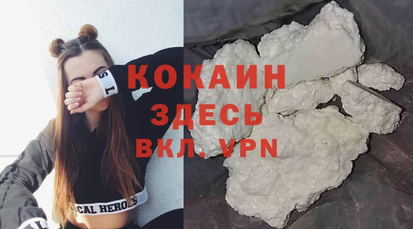 СК Новозыбков