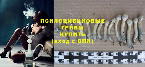 СК Новозыбков