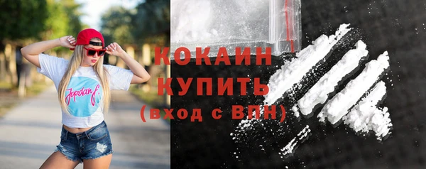 СК Новозыбков