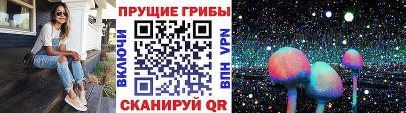 где найти Томилино Галлюциногенные грибы Cubensis